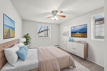Ceiling fan